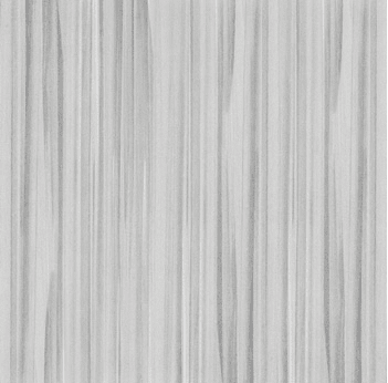 5th_1 (2).png